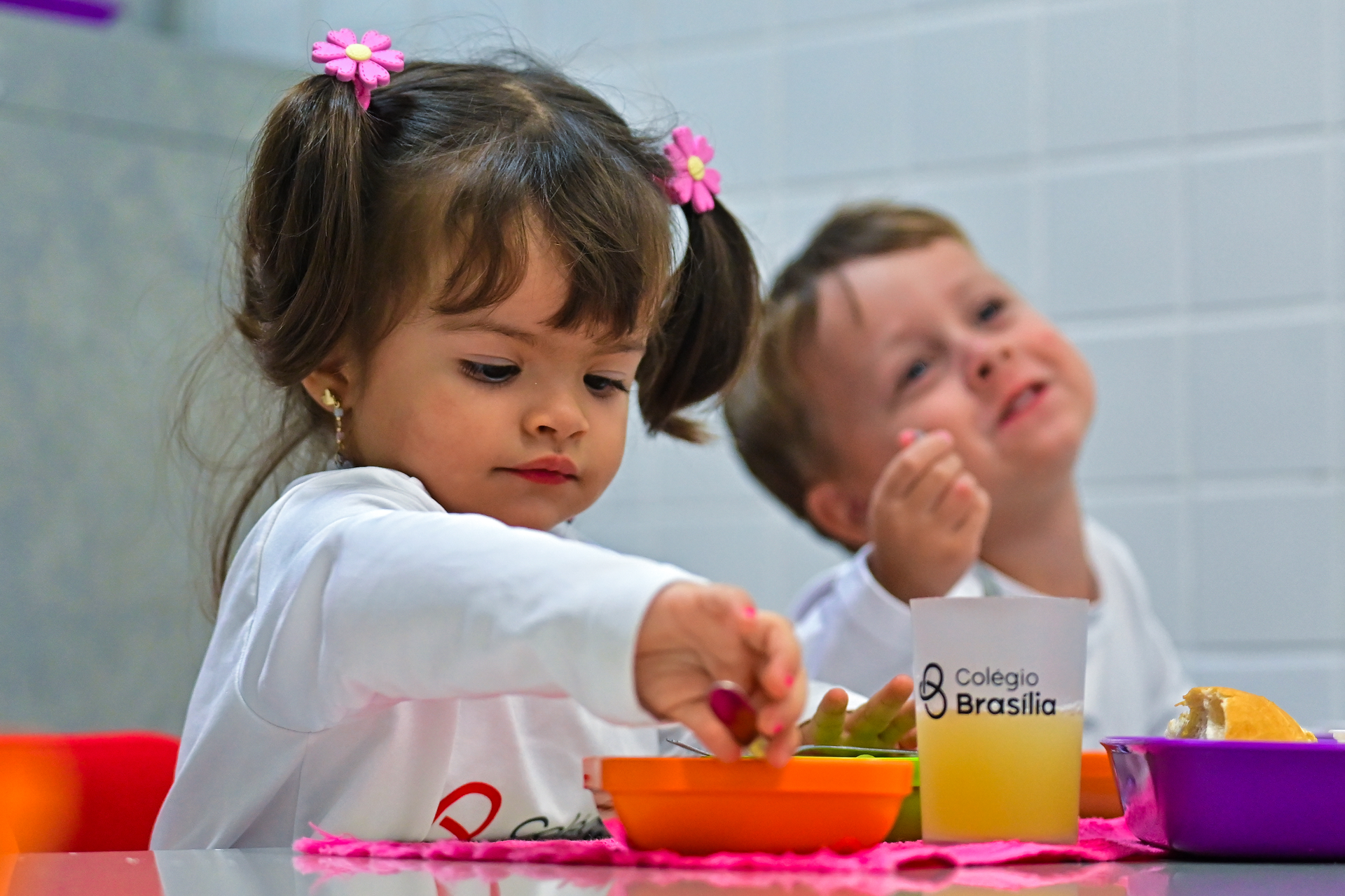 Foto do segmento Educação Infantil — Colégio Brasília São Paulo no Colégio Brasília